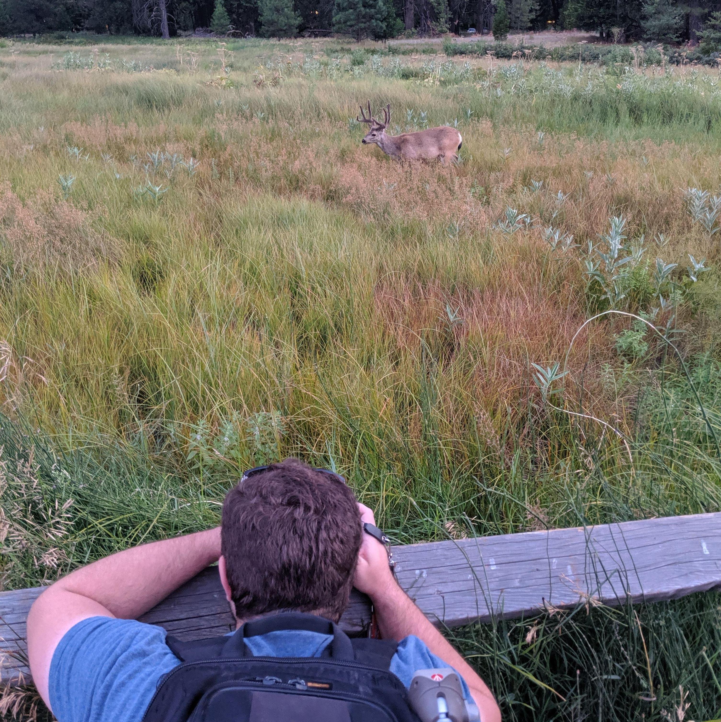 Yosemite 2019