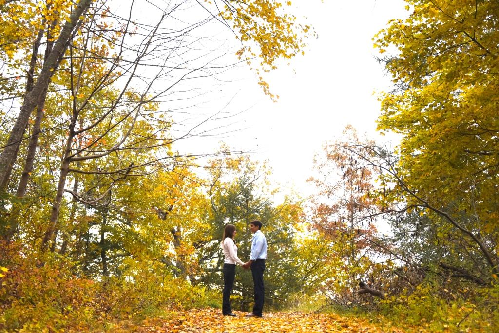 The Wedding Website of Stephanie Brittin and Stephen Furst