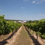 Flat Creek Estate Winery & Vineyard