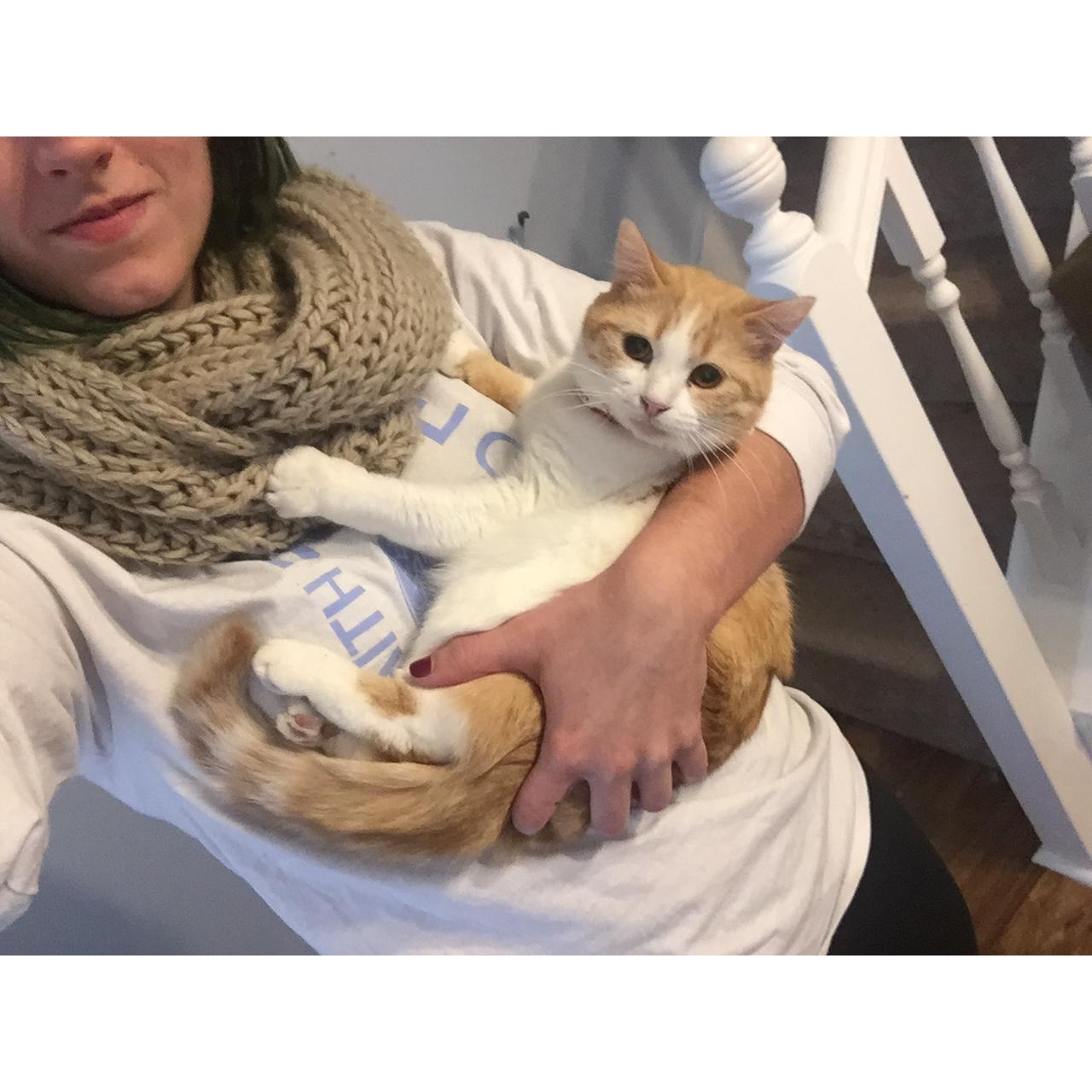 2016 continues! We also adopted our sweet baby Pandora right before the start of the new year!