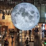 Exploratorium After Dark