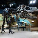 Cleveland Museum of Natural History