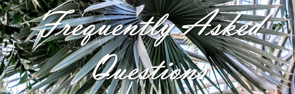 The Wedding Website of Amanda Miller and David McKinney