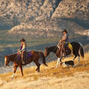Dude Ranch Honeymoon Fund