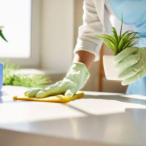 House Deep Cleaning Fund