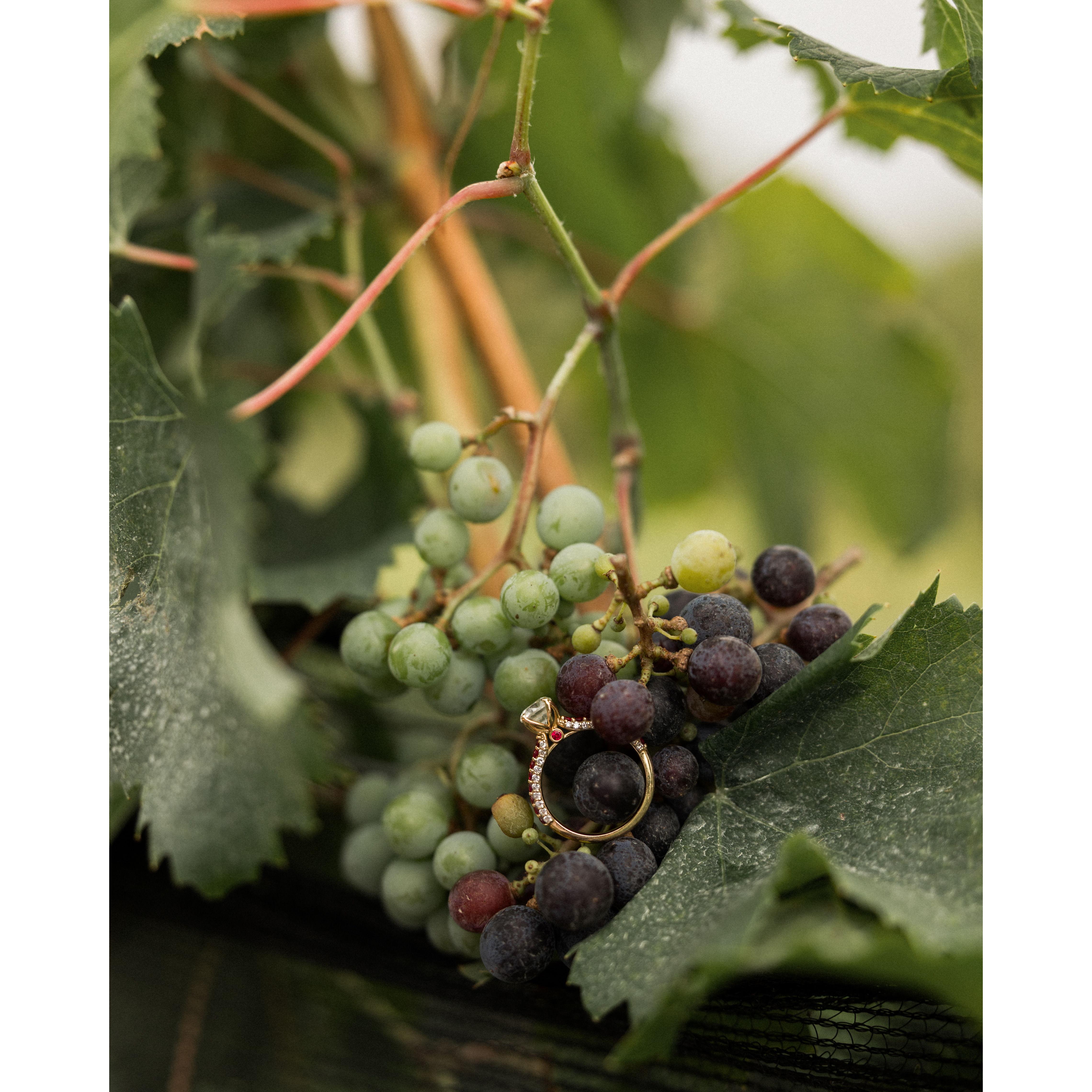 Photo: Kim Hymes Photography