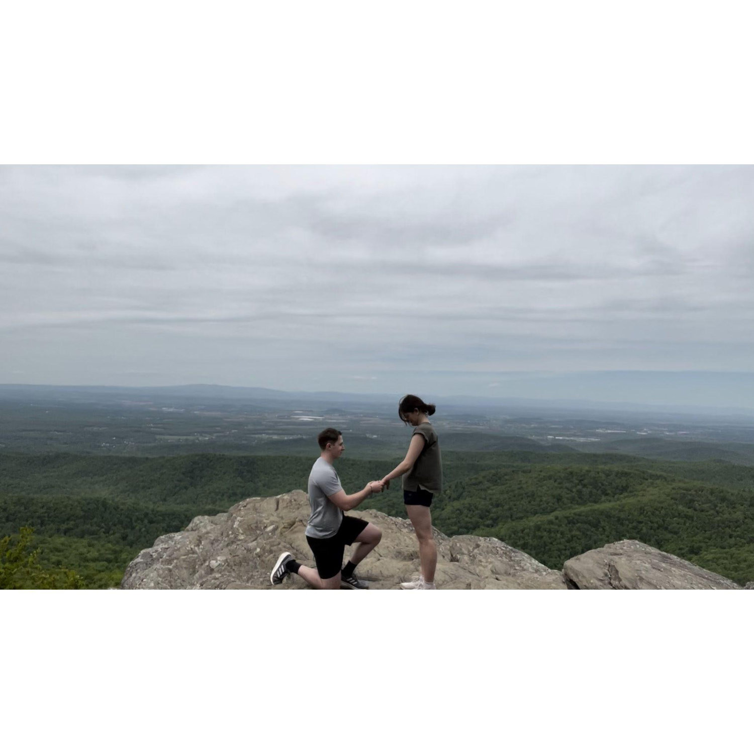 The proposal.