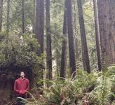 Arcata Community Forest