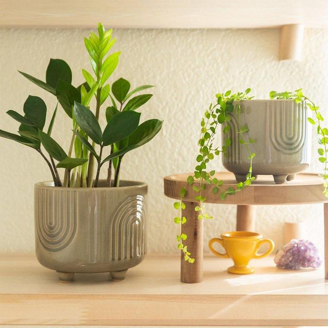 Rainbow Footed Planter in Olive