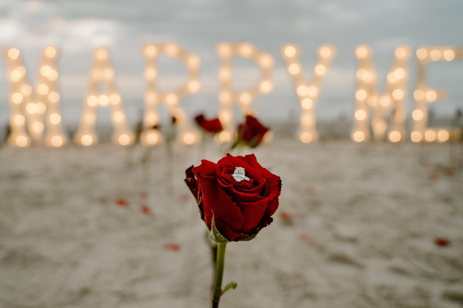 The Wedding Website of David Gonzalez and Kortney Witte