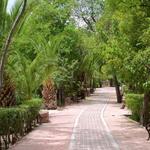 Parque Benito Juárez