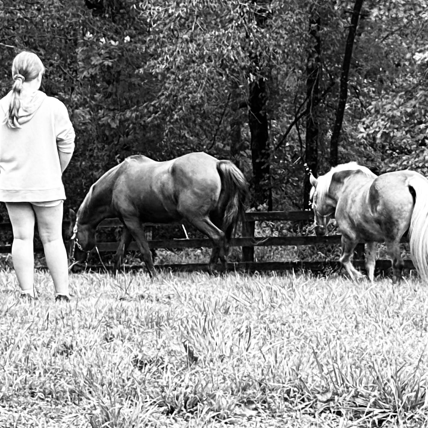 Life at Dogwood Farms!