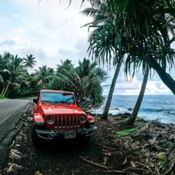 Rental Car