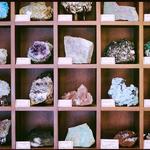 The Gem Den