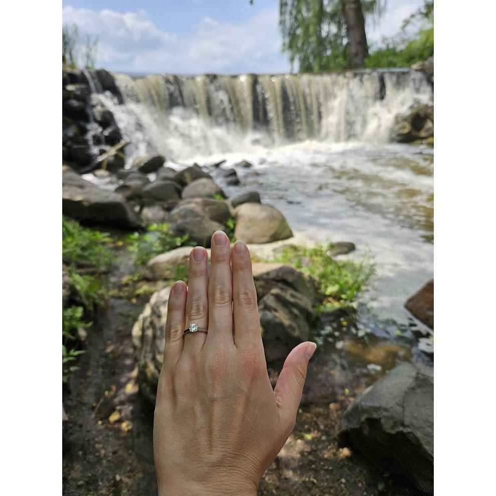 Ian proposed at a park near our house