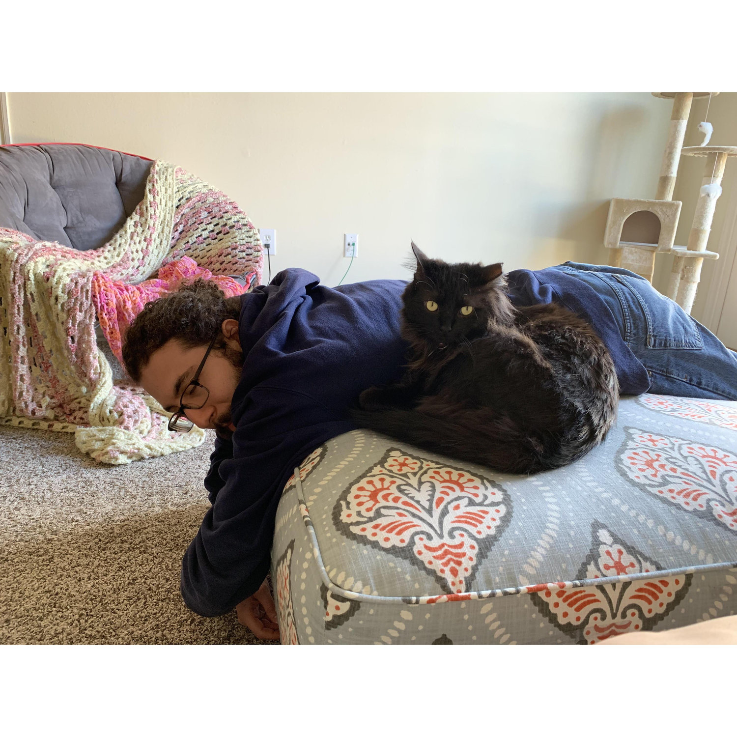 Haley's cat, JJ, approves