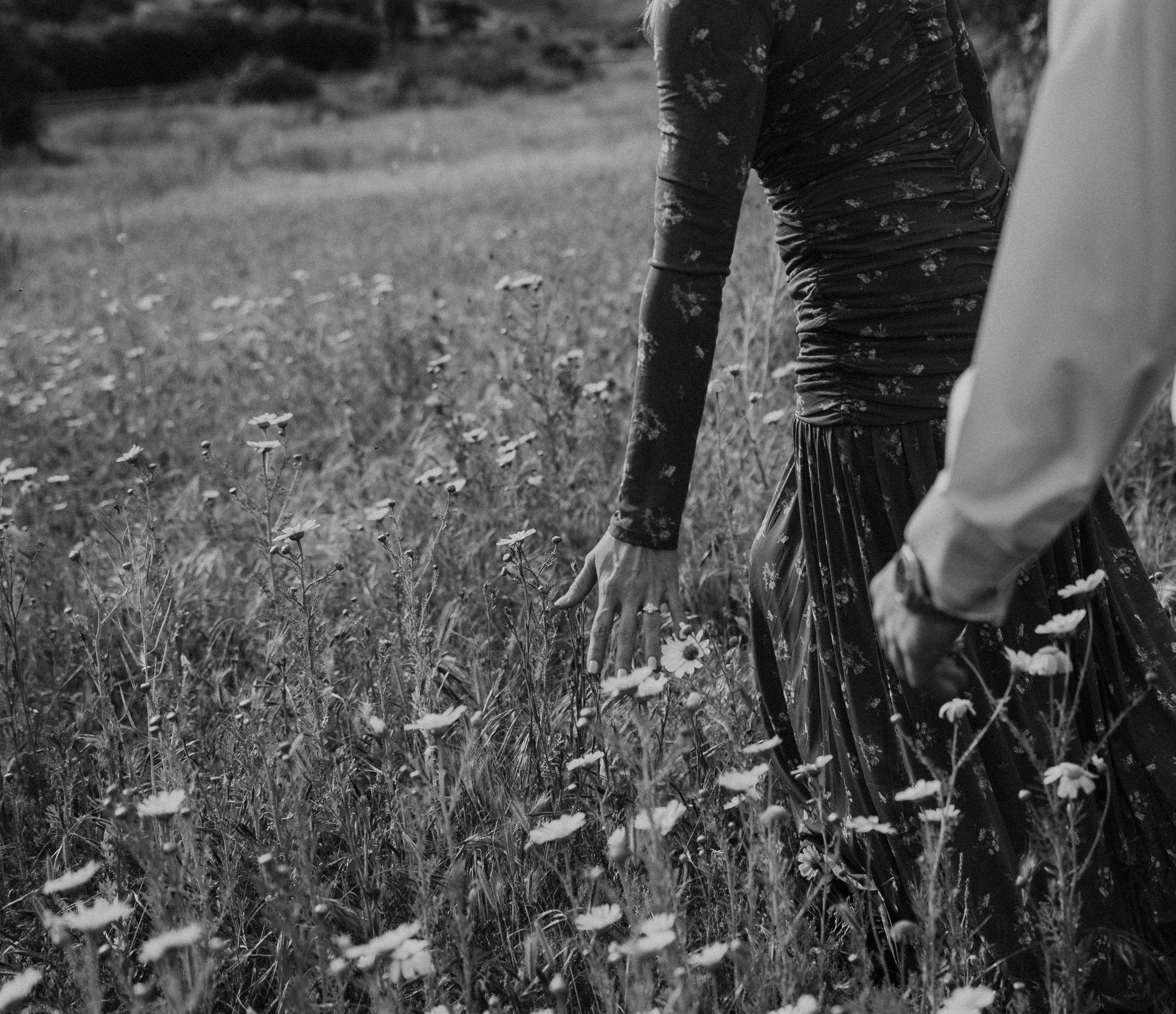 The Wedding Website of Sarah Weinmeier and Leighton Silva