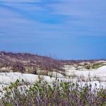Anastasia State Park