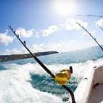 Deep Sea Fishing