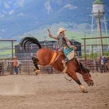 Valley View Rodeo