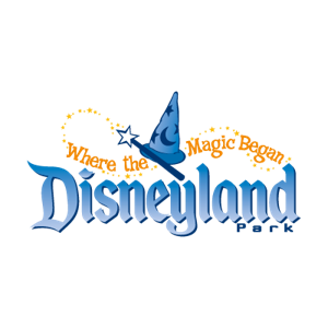 Disneyland Honeymoon Adventure