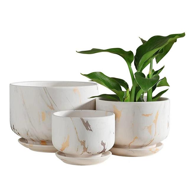 Qzwenxun Ceramic Plant Pots, 7.8+6.2+4.8 Inch Marble Pattern Planters with Drainage Hole and Saucer Flower Pots for Indoor Plants, Set of 3 (WhiteGold)