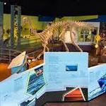Fundy Geological Museum
