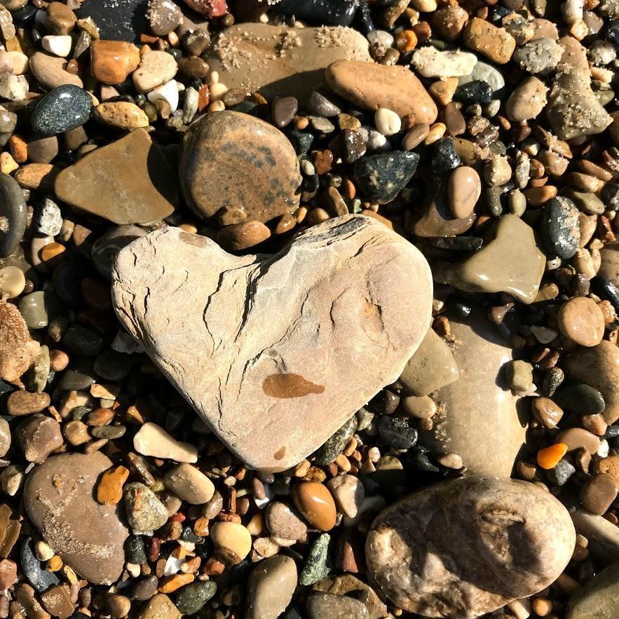 We got engaged on the wind-swept shores of Grand Beach, Michigan. This photo was taken at that beach in summer <3