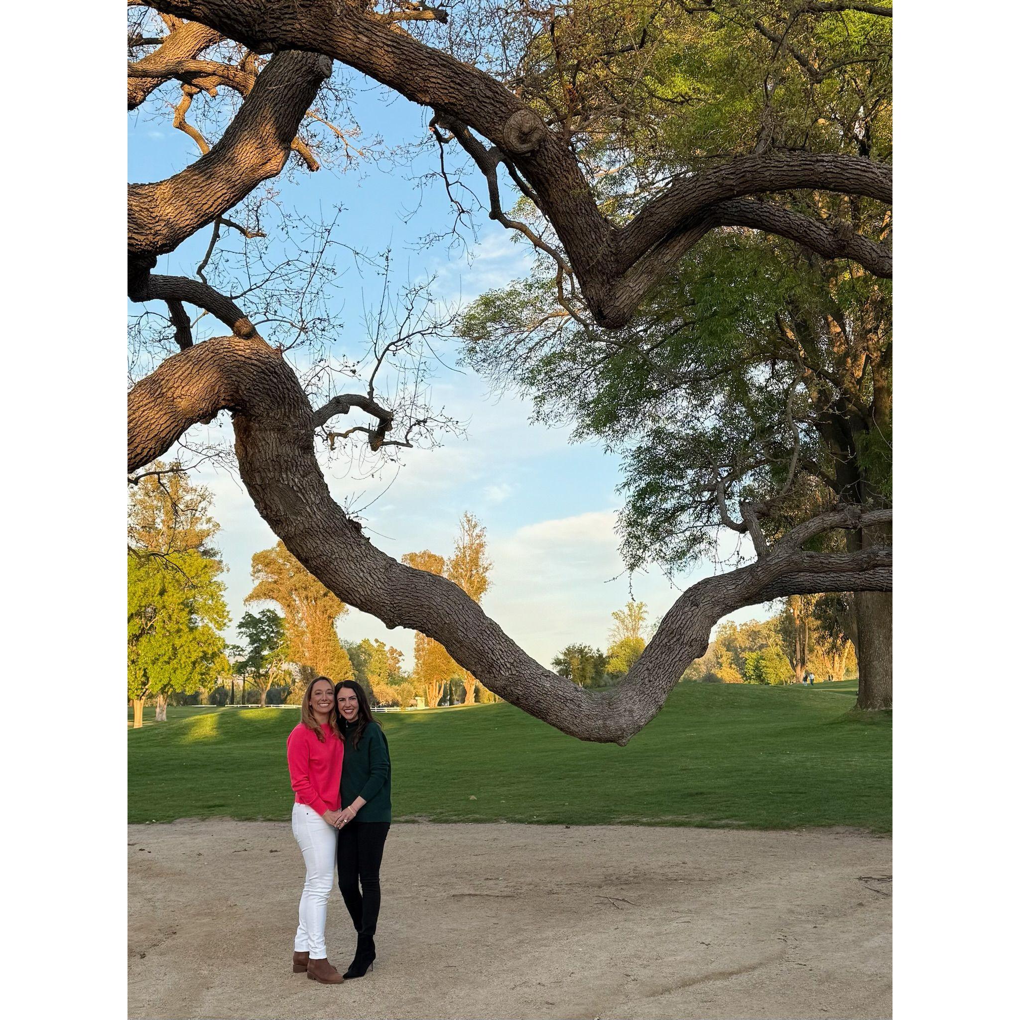 Laura proposed to Melissa during the "pink moment" in Ojai under a 100 year old oak tree with branches shaped like a heart.