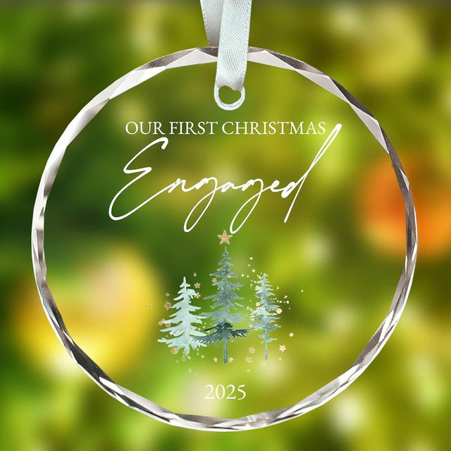 Engagement Ornament 2025, Engagement Gifts for Couple, Just Engaged Gift, Bride to Be Gifts, First Christmas Engaged Ornament 2025