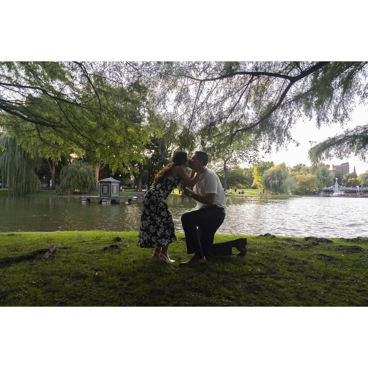 Ken proposing to Janelle at the Common Garden in Boston, MA August 10th 2024