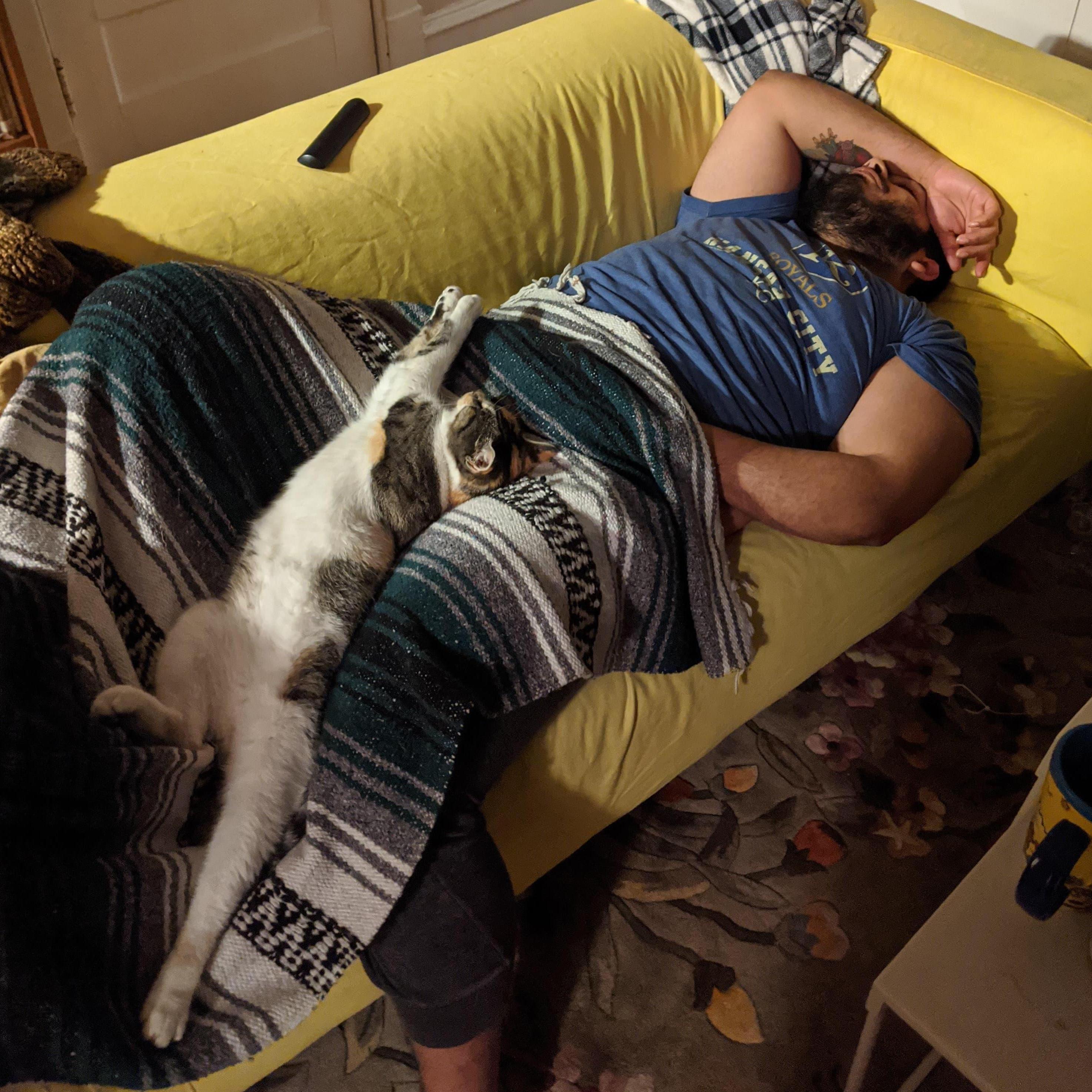 #catnaps