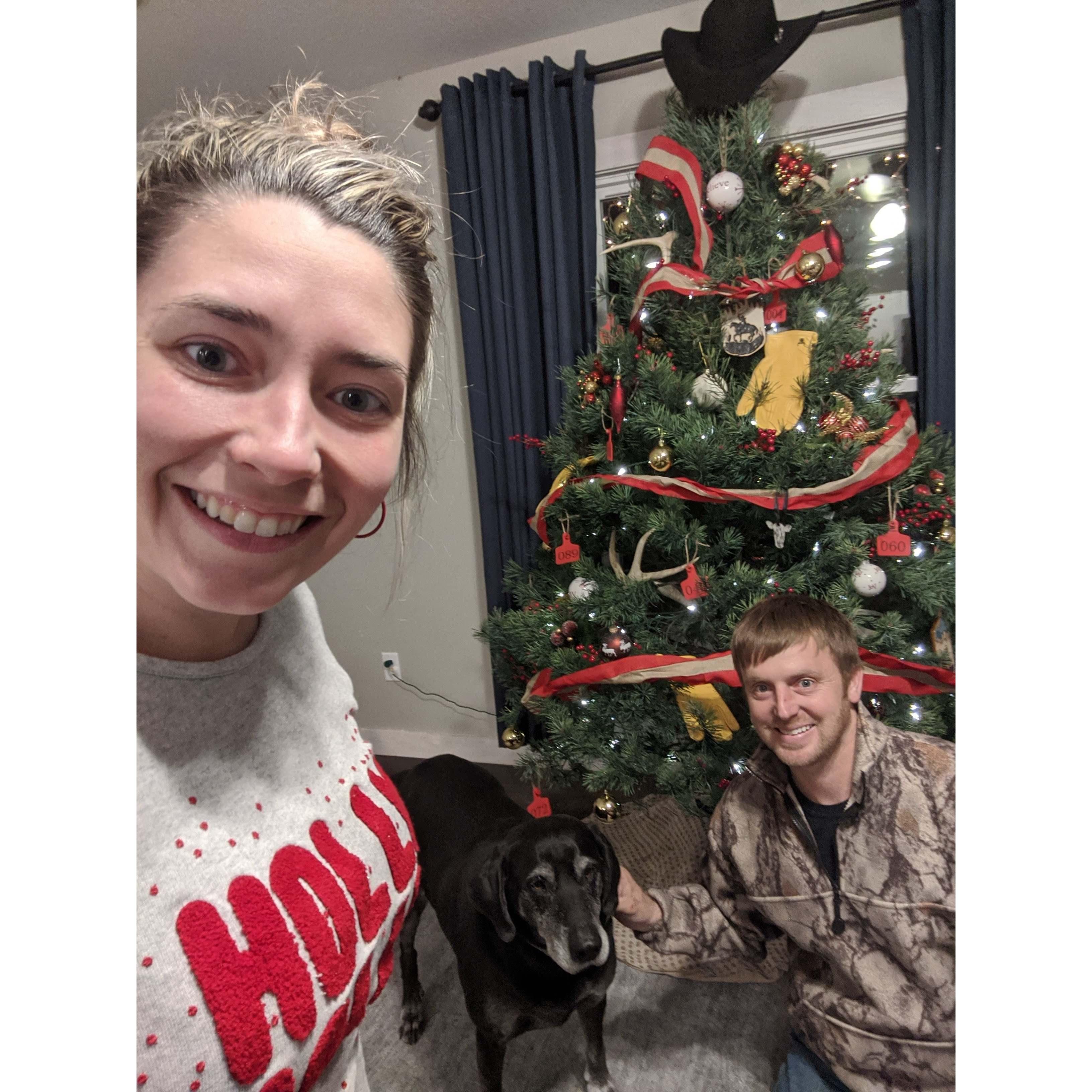 Our first Christmas tree.