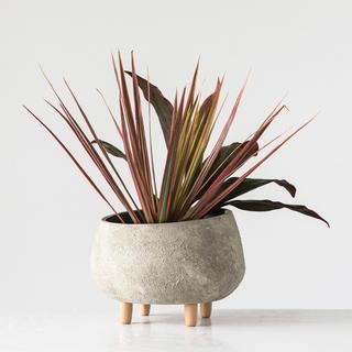 Terracotta Footed Planter