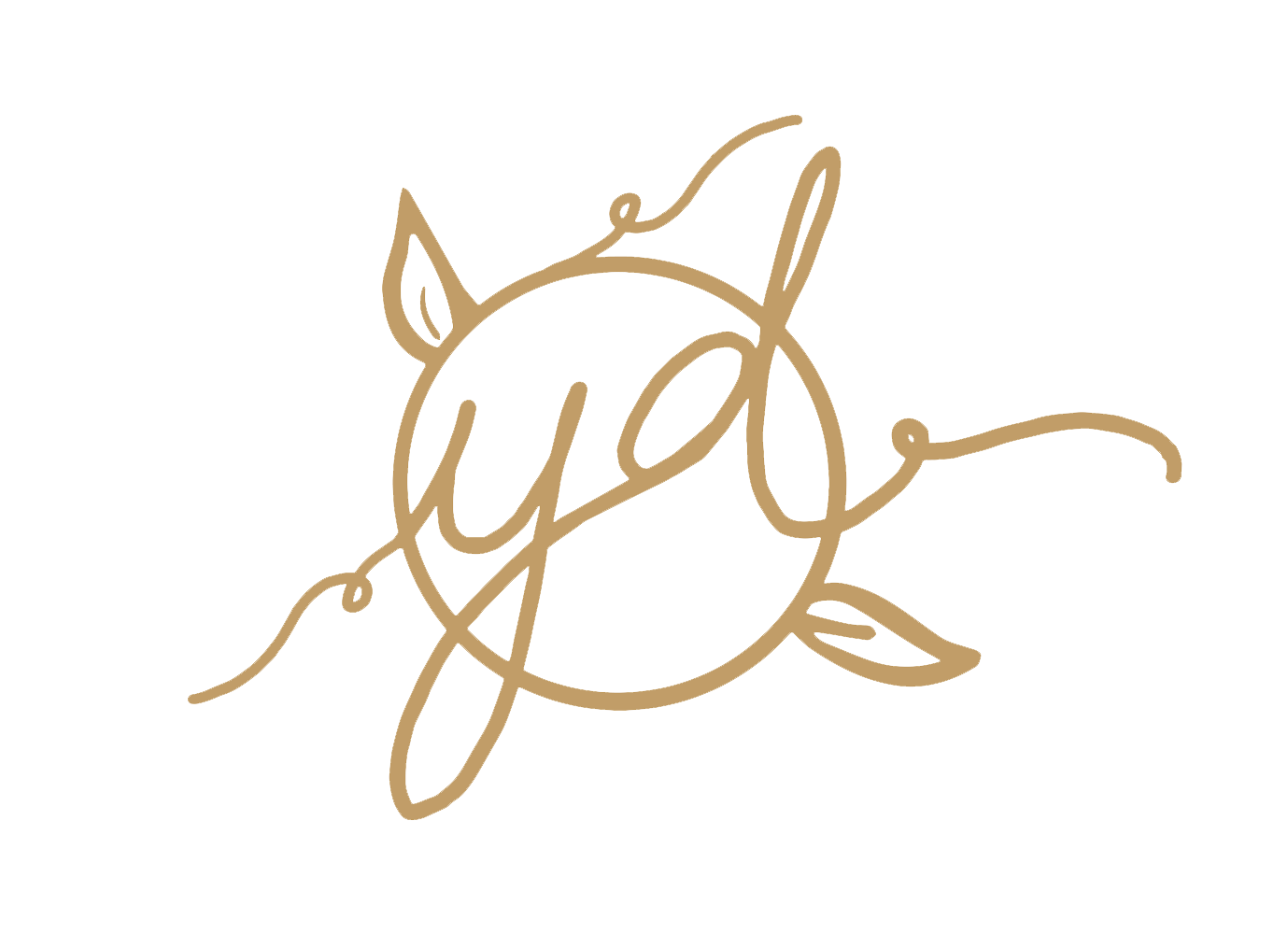 The Wedding Website of Disha Patel and Yagnesh Patel
