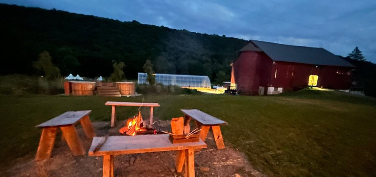 The Wedding Website of Danni Elliot and Rocco Iannetta