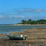 Private Fishing & Snorkeling Tour