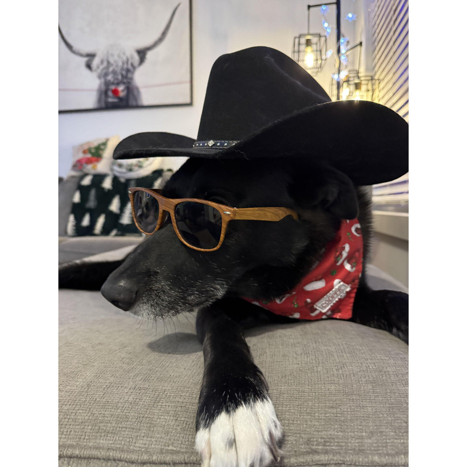 me me me me me more cowboy than you