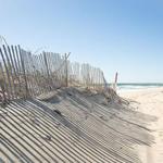 Madaket Beach