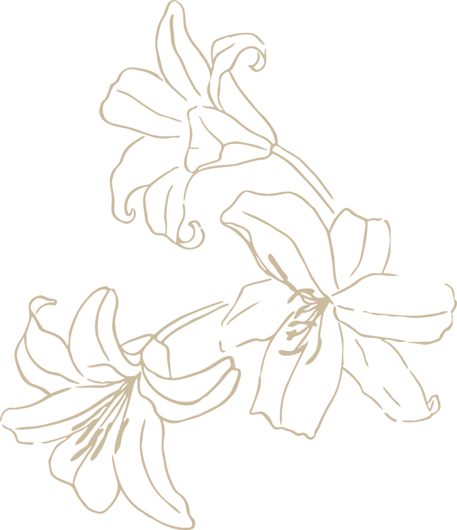 The Wedding Website of Harriet Hix and Zach Faja