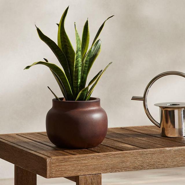 Ronan Outdoor Planter, Tabletop Small, Burnt Umber