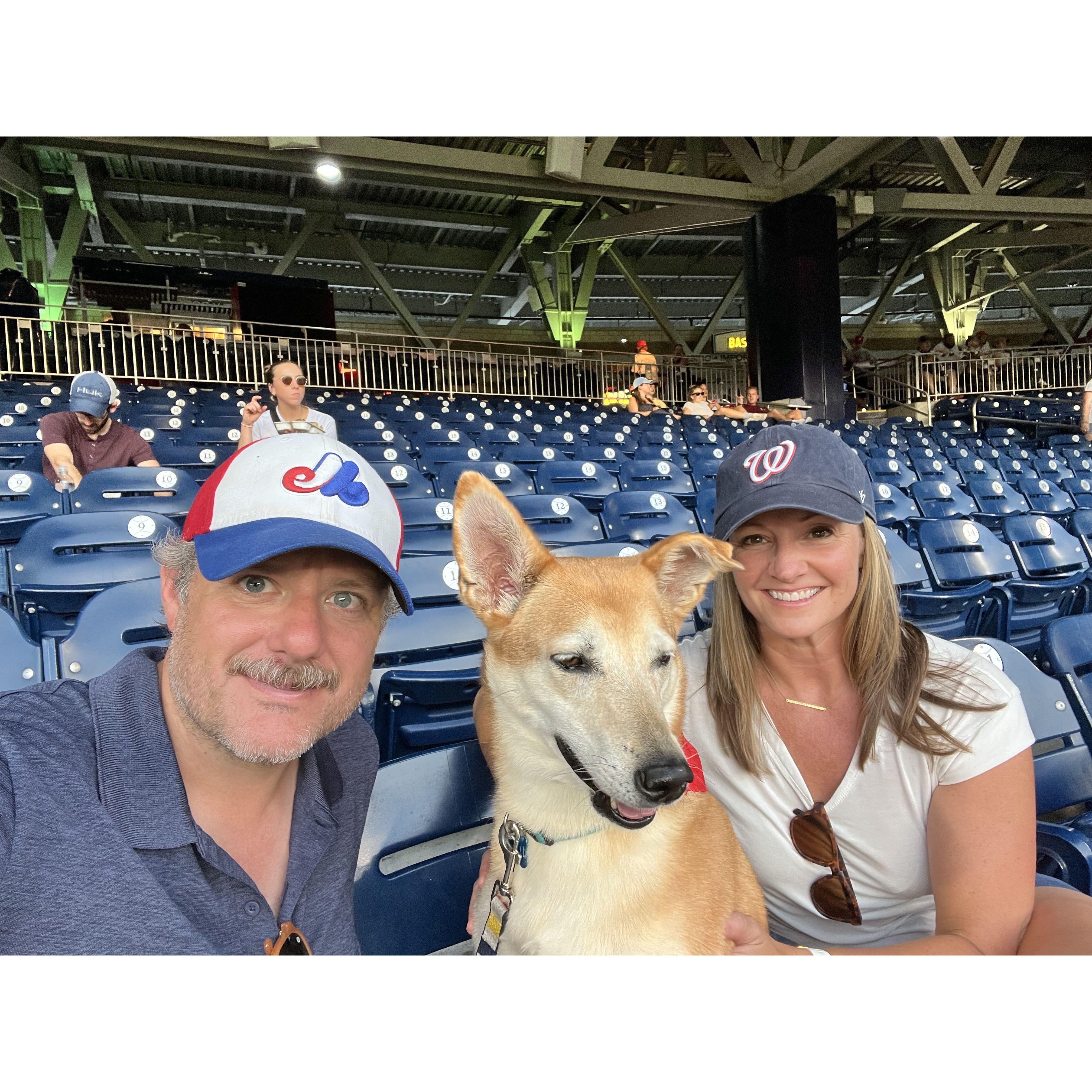 Pups in the Park is one of our favourite date nights.