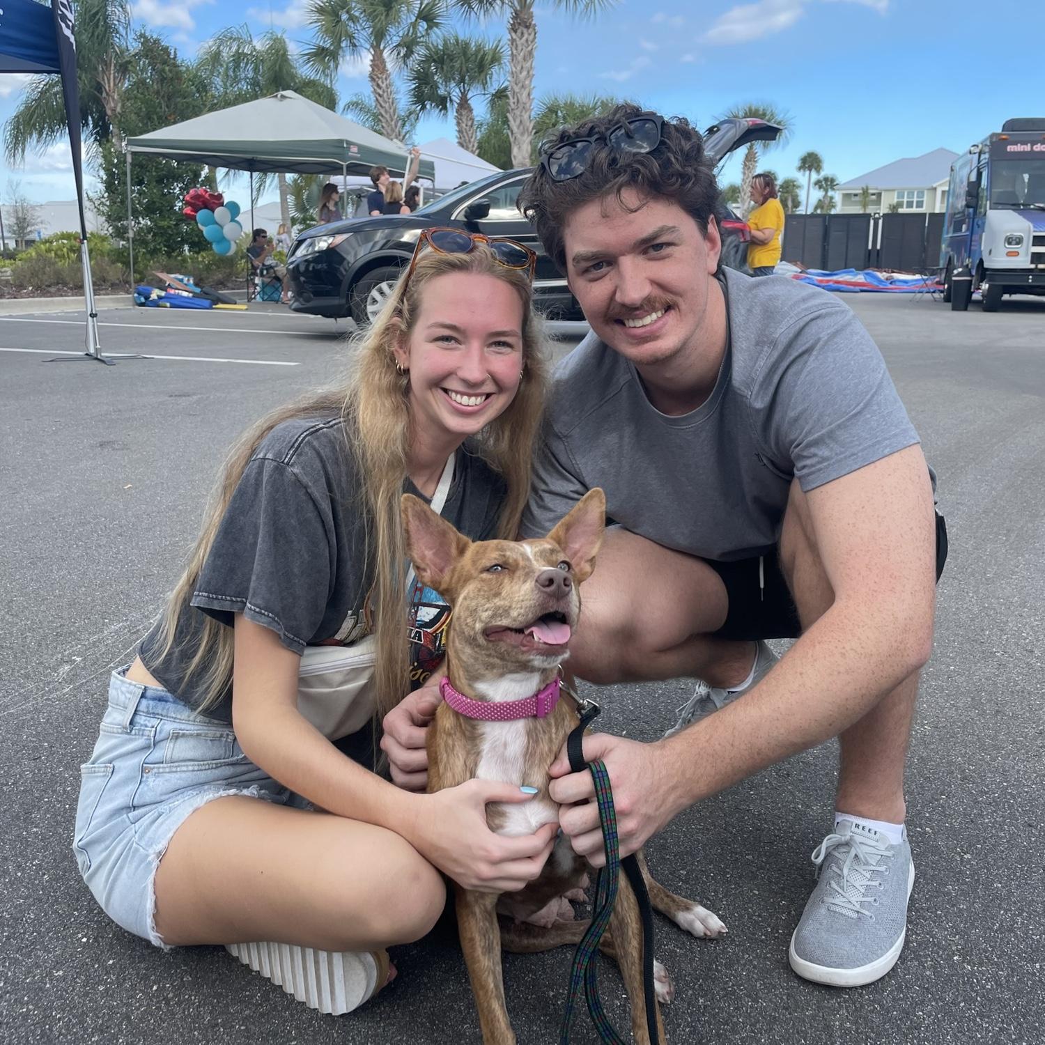 When We Adopted Isla - January, 2024