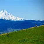 Syncline Trail Hiking