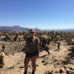 Cholla Cactus Garden