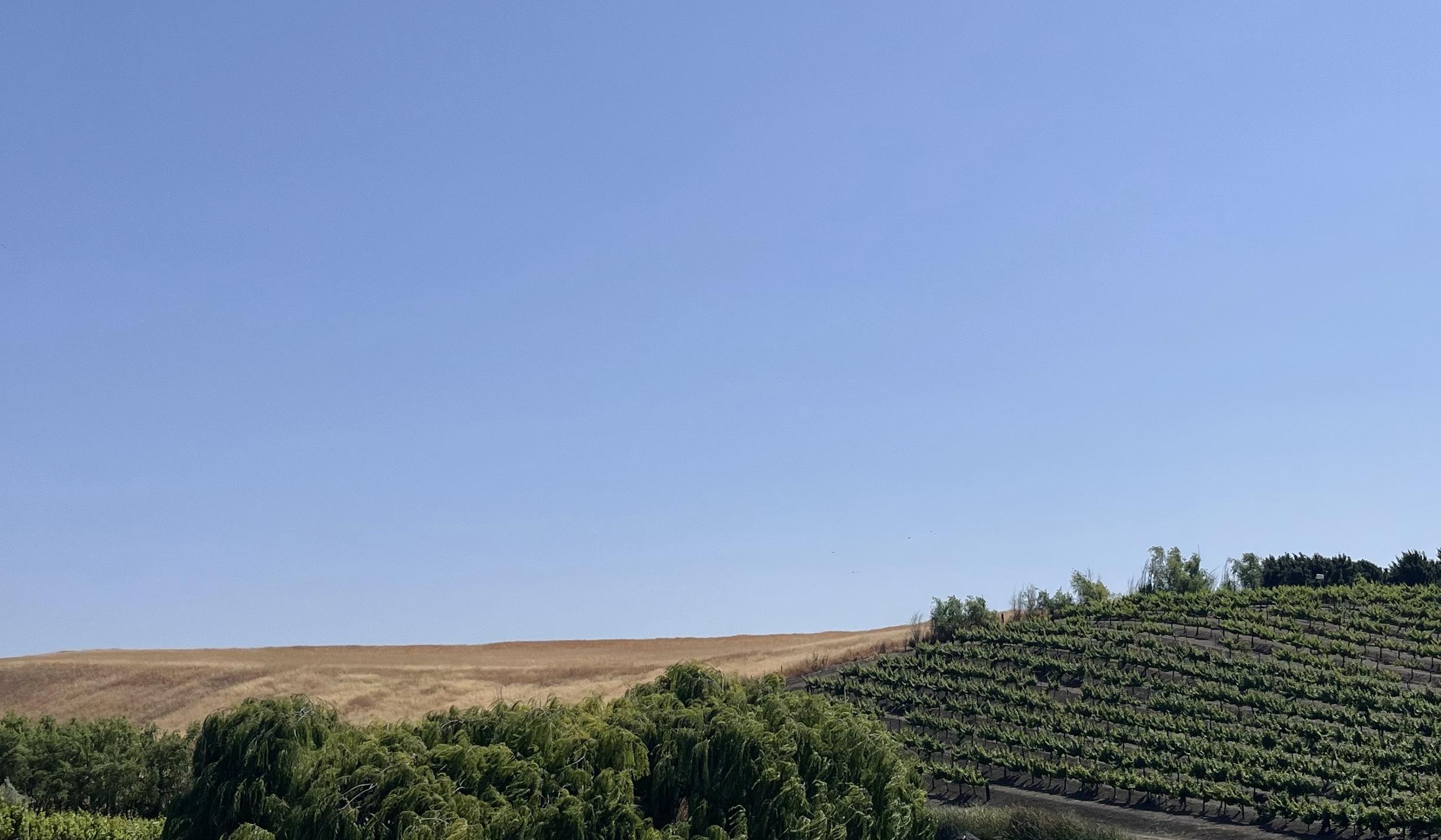 The Wedding Website of Victoria Hill and Tanner Koppelmaa