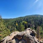 Evergreen Hiking