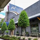 The Colonel's Club