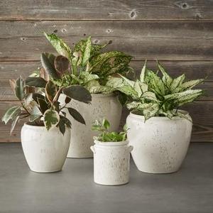 Speckled Ivory Earthenware Planter - Medium