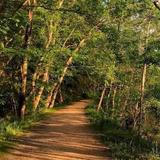 Chessie Nature Trail